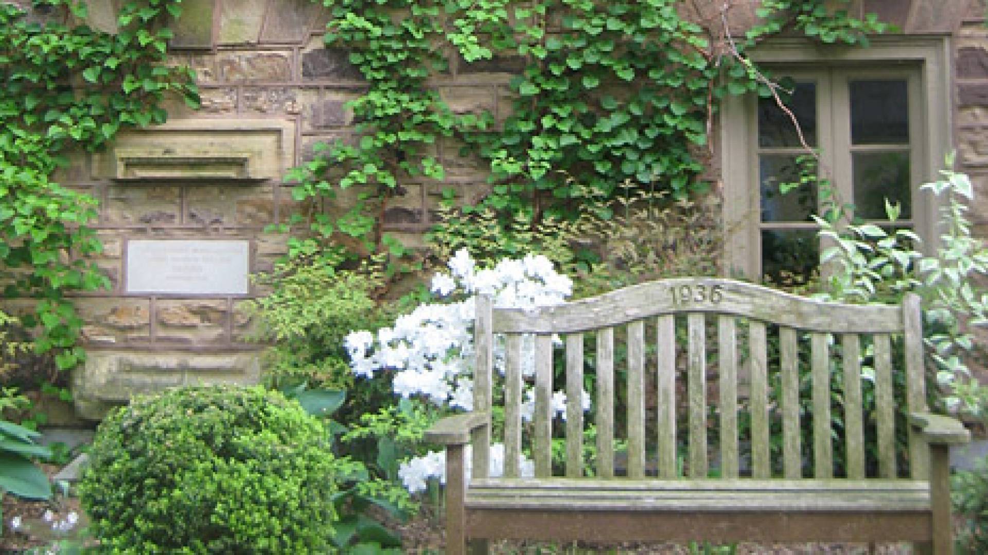 Ivy home page