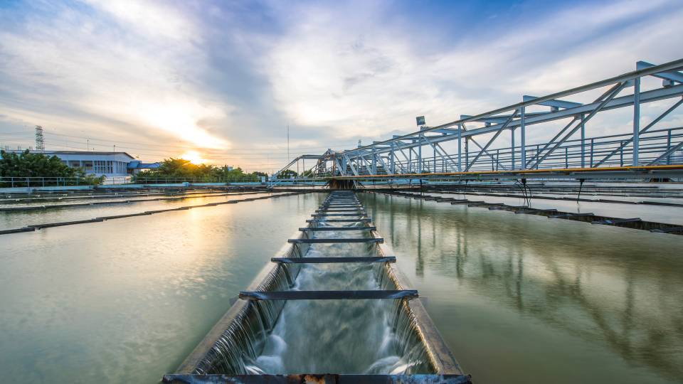 sewers at dawn