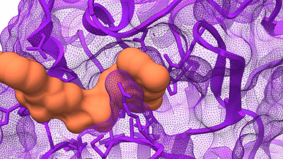 enzyme schematic
