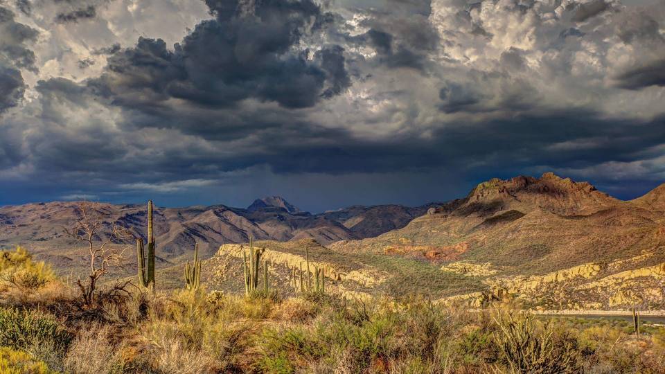 Desert landscape