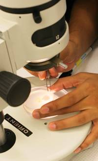 Mol Bio 101
