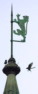 Tiger spire