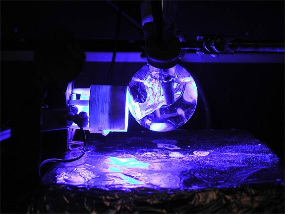 Liquid Light light