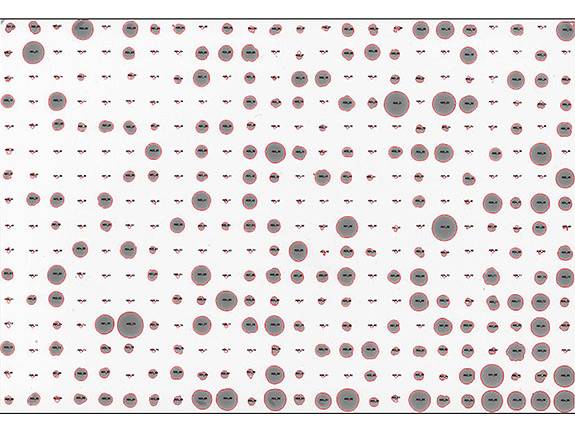 Heritability C