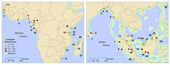 Mangrove map