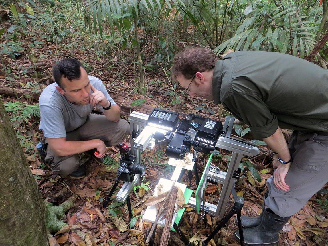 Researchers in the field
