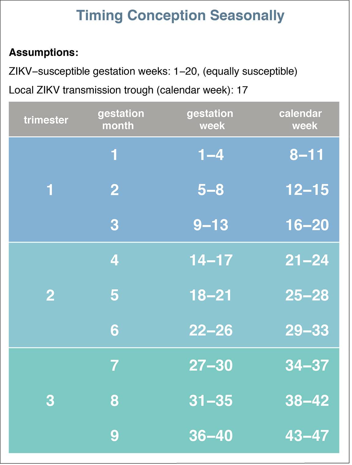 Conception chart