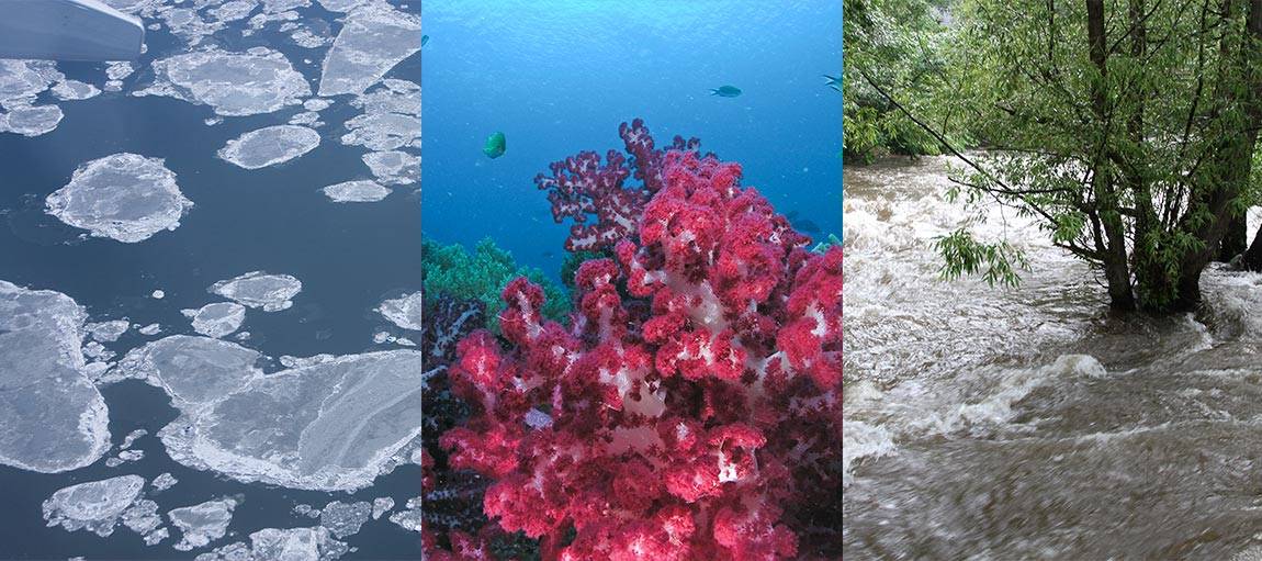 Climate collage