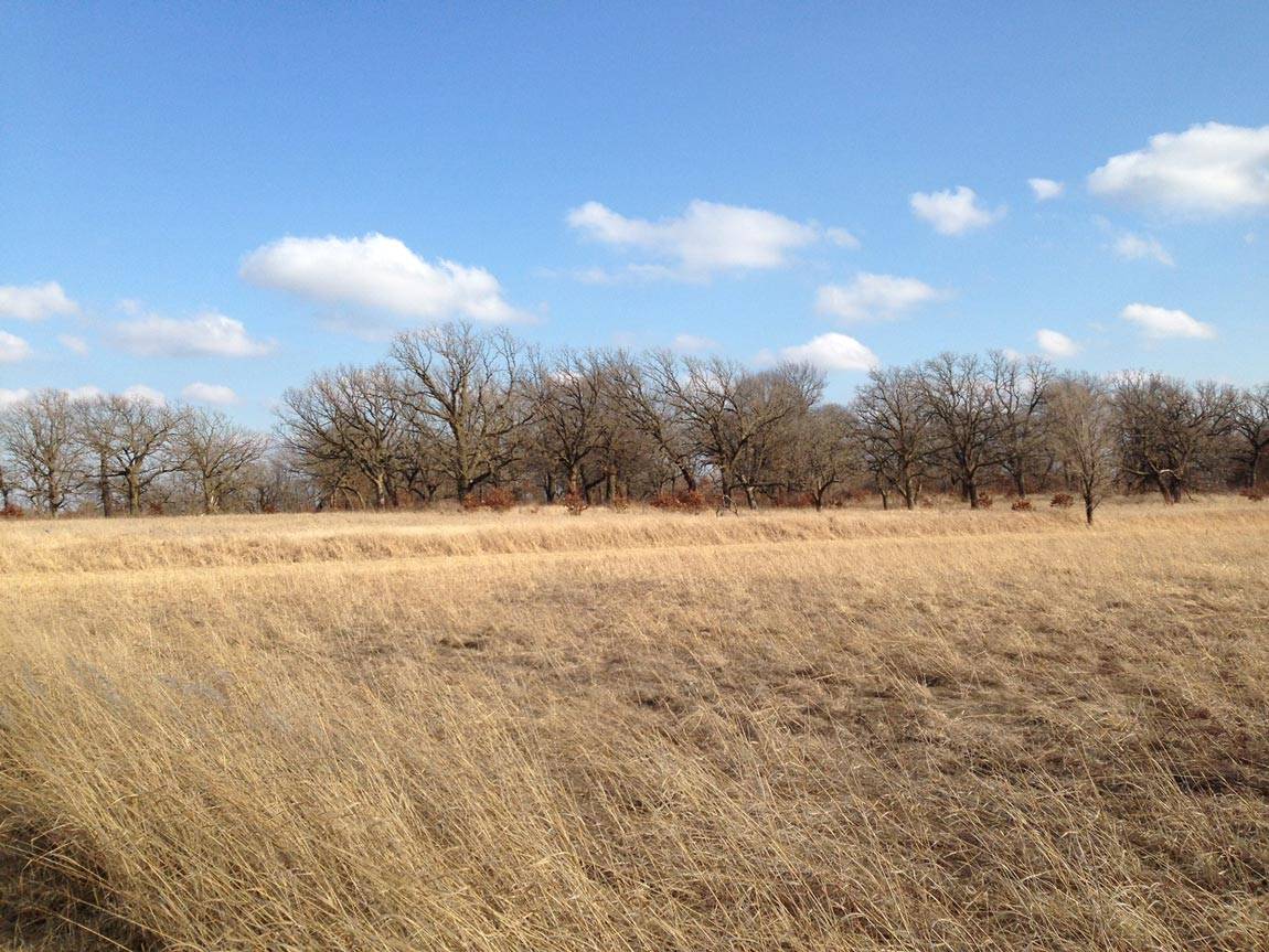 Field