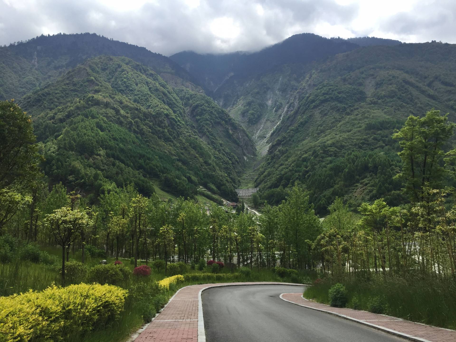 Forest in China