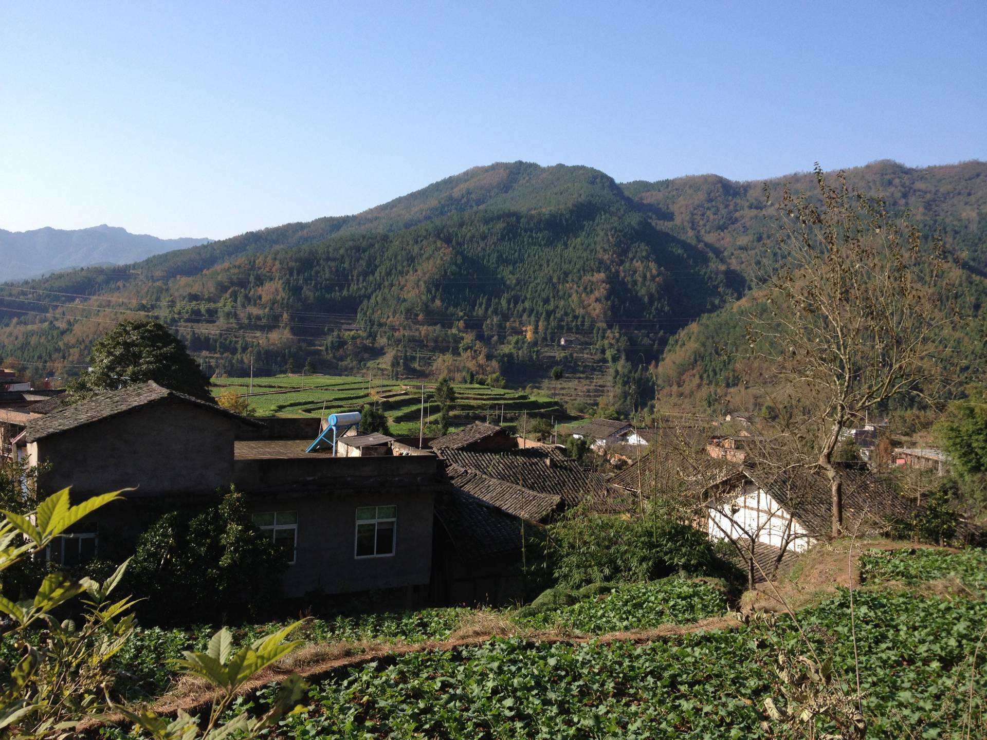 mountain slope in Sichuan Province