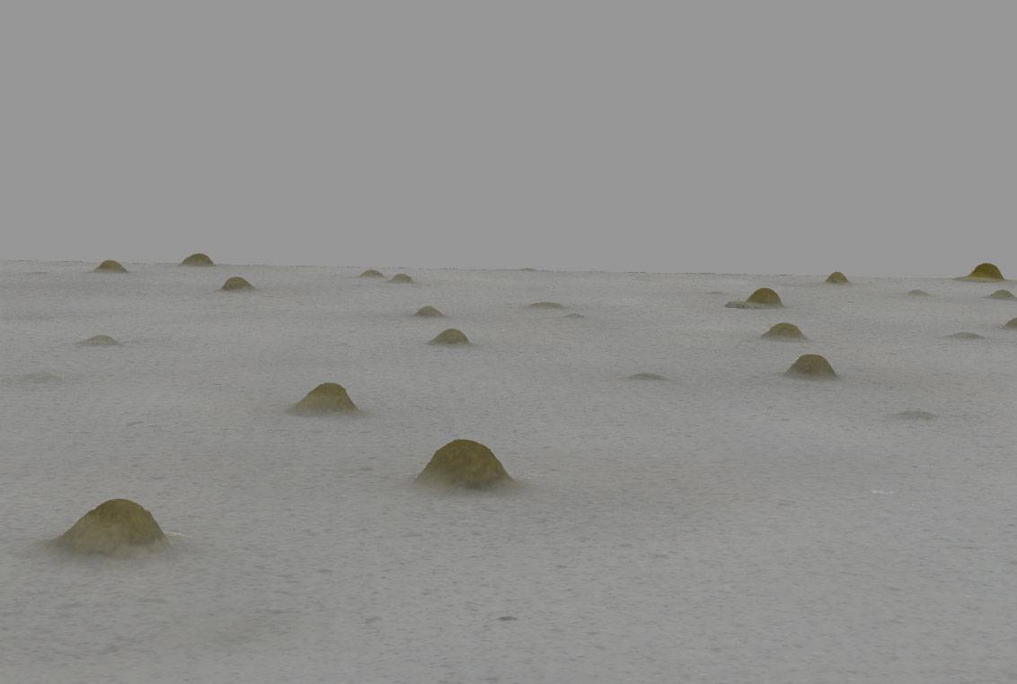 bumps in the mist