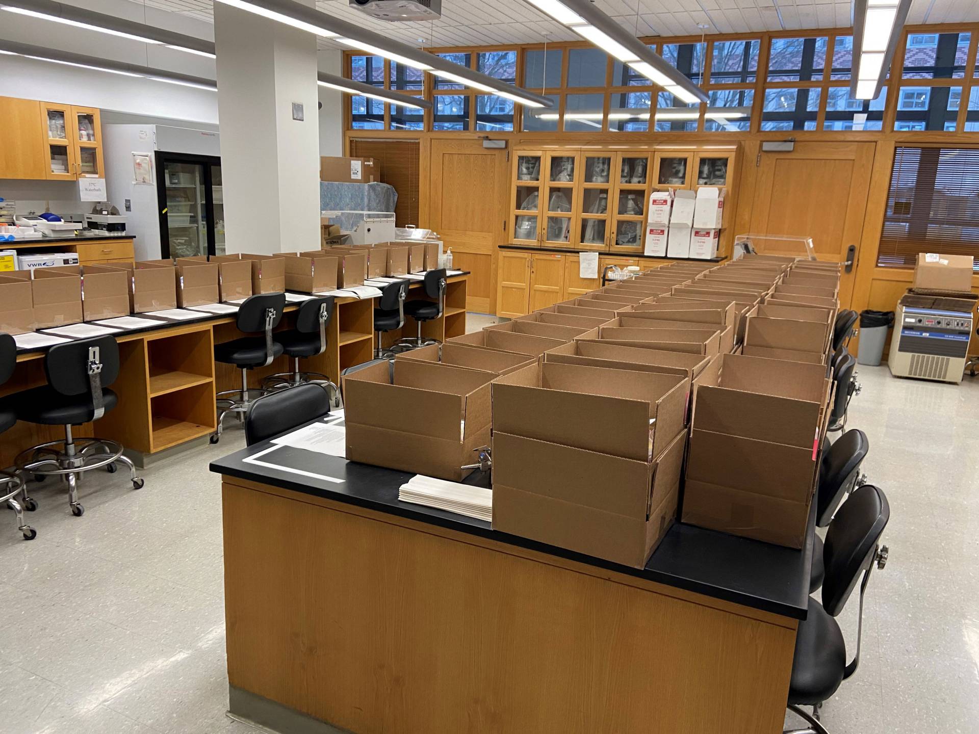 Rows of open cardboard boxes in a classroom laboratory