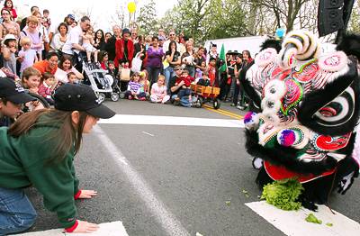 Lion Dance