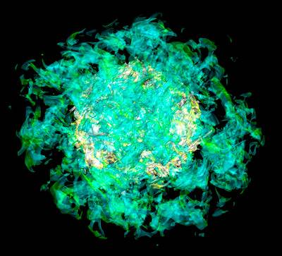 Burrows supernova simulation