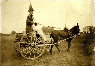 reunions donkey