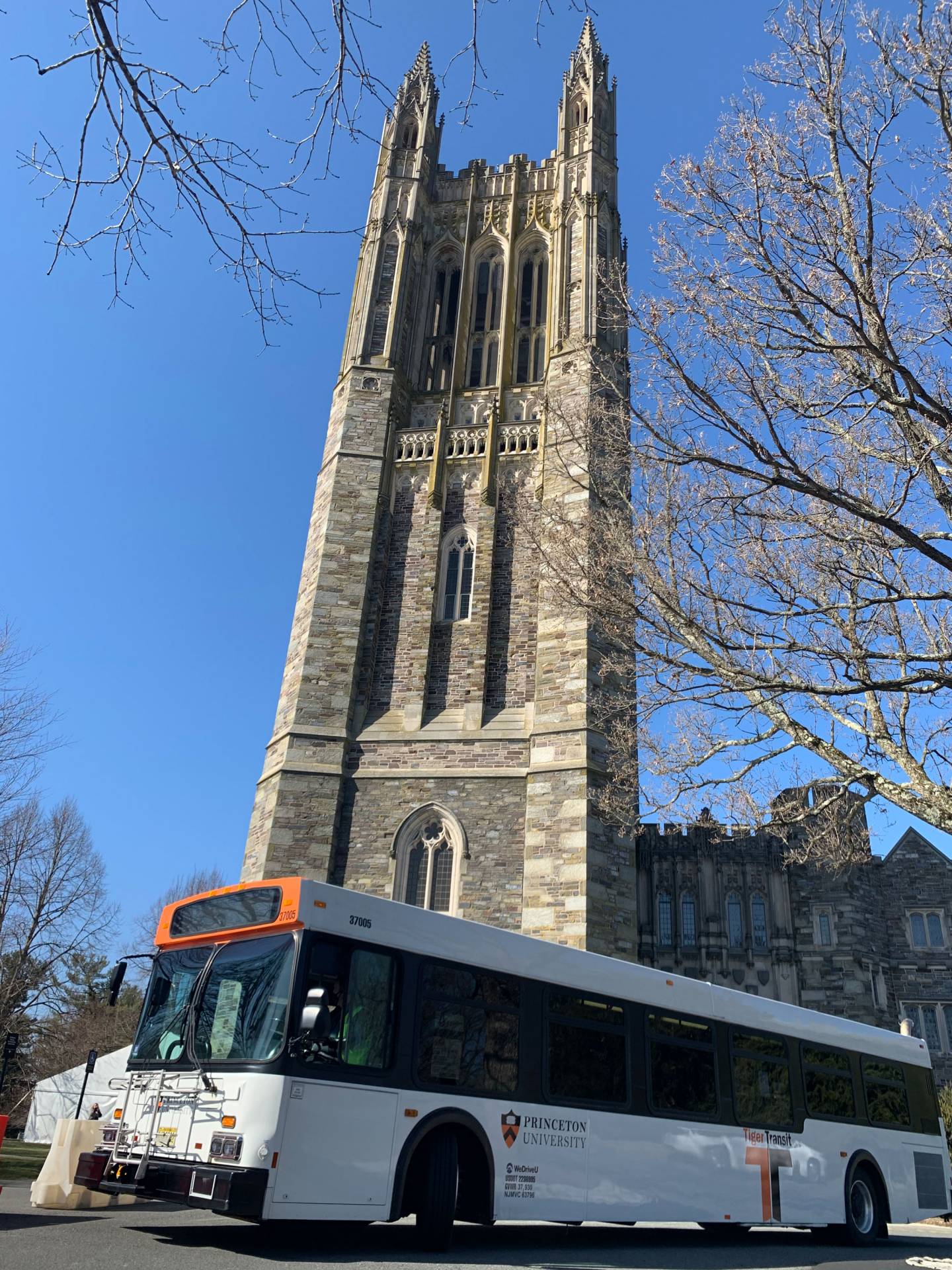 TigerTransit bus