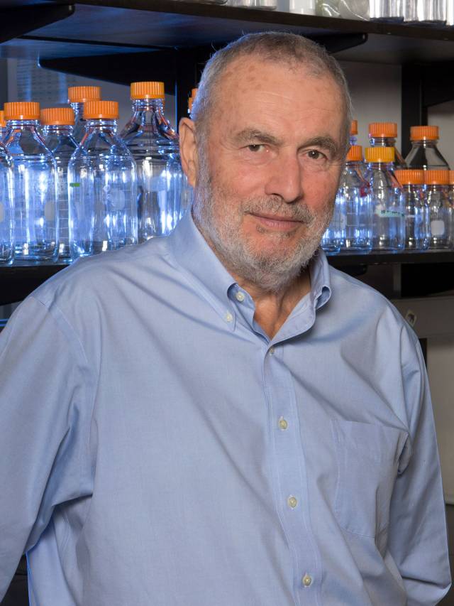 François Morel